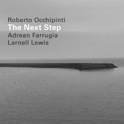 The Next Step by Roberto Occhipinti