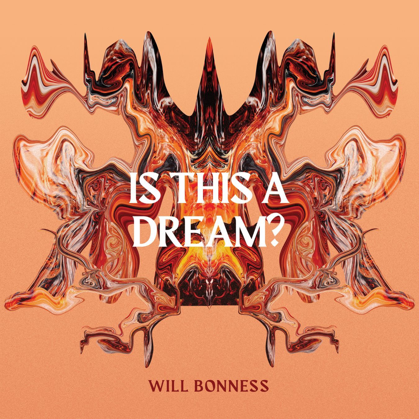Will Bonness - Is This a Dream? cover