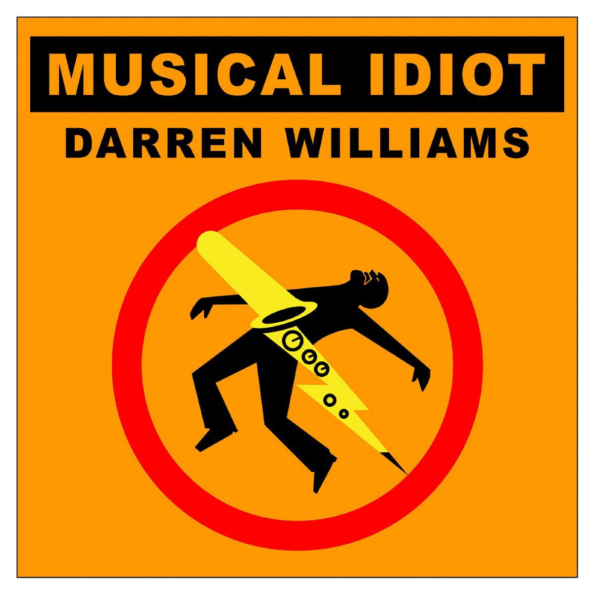 Musical Idiot cover