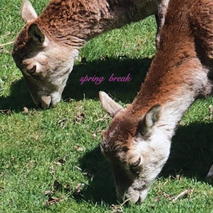 Spring Break cover