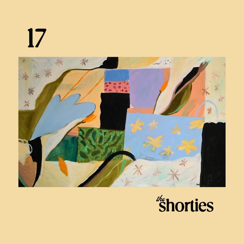 17 cover