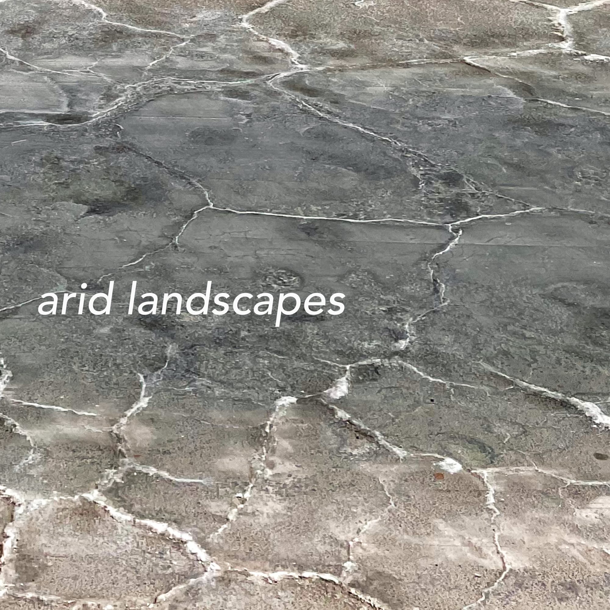 Dan Pitt & Noah Franche-Nolan: arid landscapes
