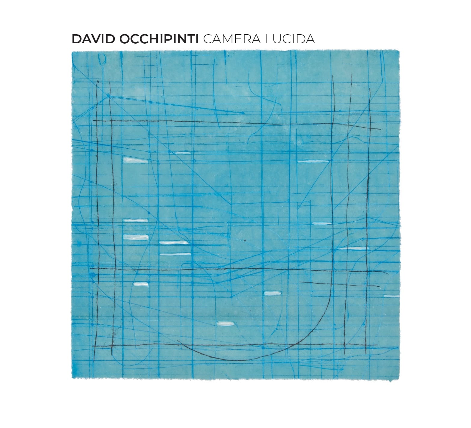 David Occhipinti: Camera Lucida