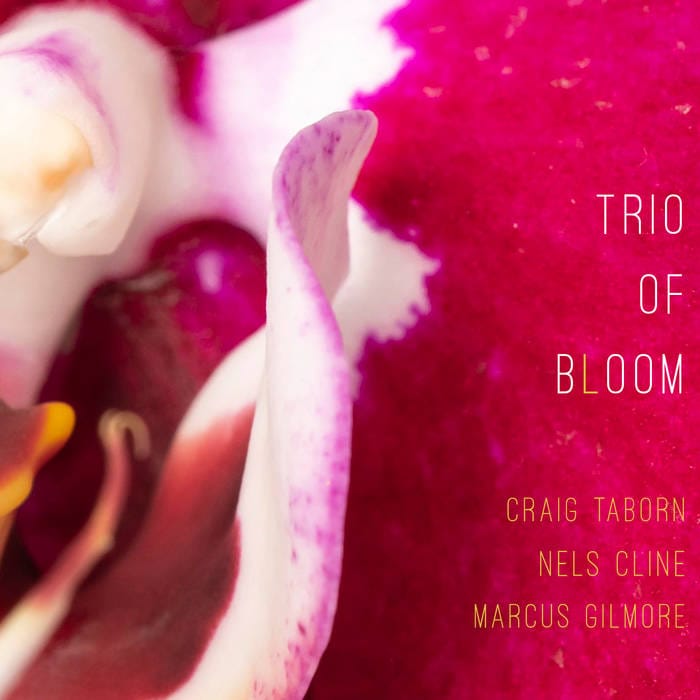 Craig Taborn, Nels Cline, & Marcus Gilmore: Trio of Bloom